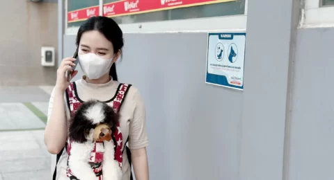 Tranh cãi xoay quanh việc nuôi chó mèo tại chung cư - (1) CTY QL BĐS Independent (IPS)